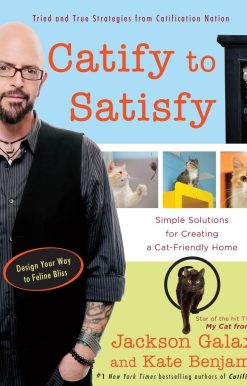Catify to Satisfy: Simple Solutions for Creating a Cat-Friendly Home