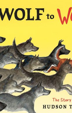 From Wolf to Woof: The Story of Dogs