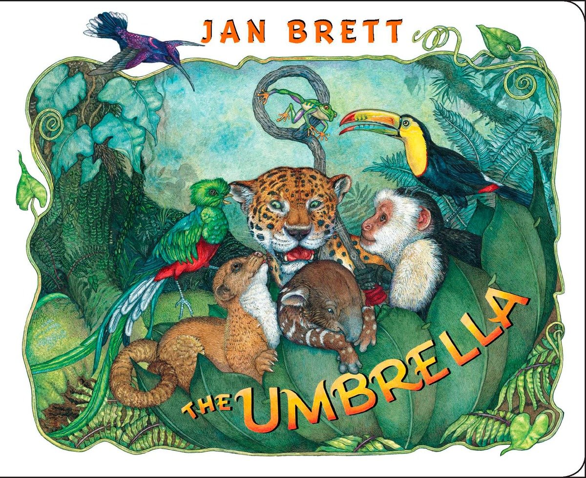 9780399255403 board book: The Umbrella