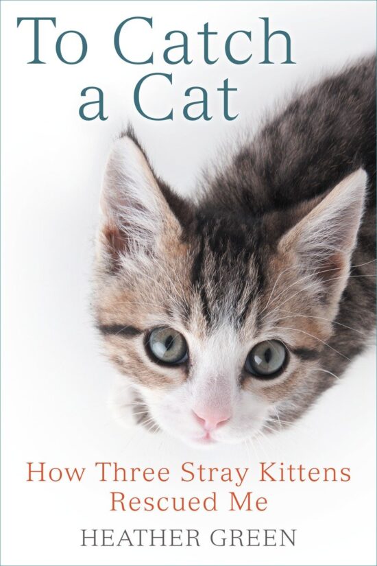 How Three Stray Kittens Rescued Me: To Catch a Cat