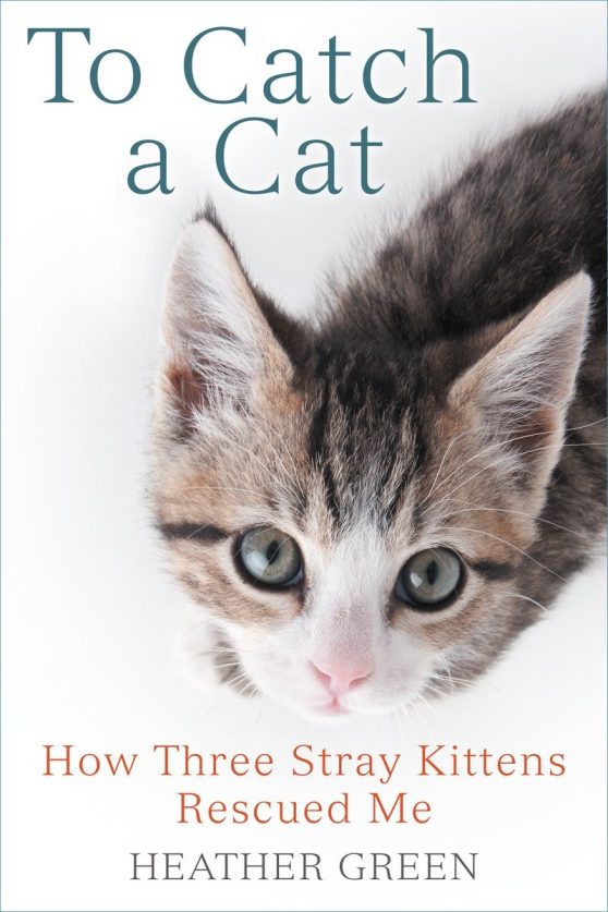 How Three Stray Kittens Rescued Me: To Catch a Cat