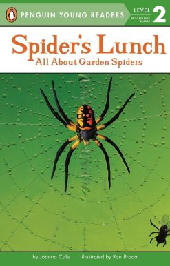 Spider's Lunch: All About Garden Spiders