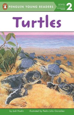 Turtles