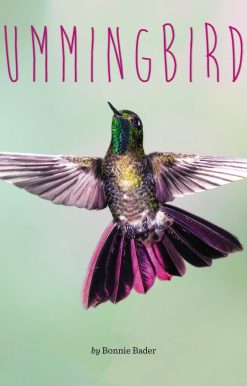 Hummingbirds