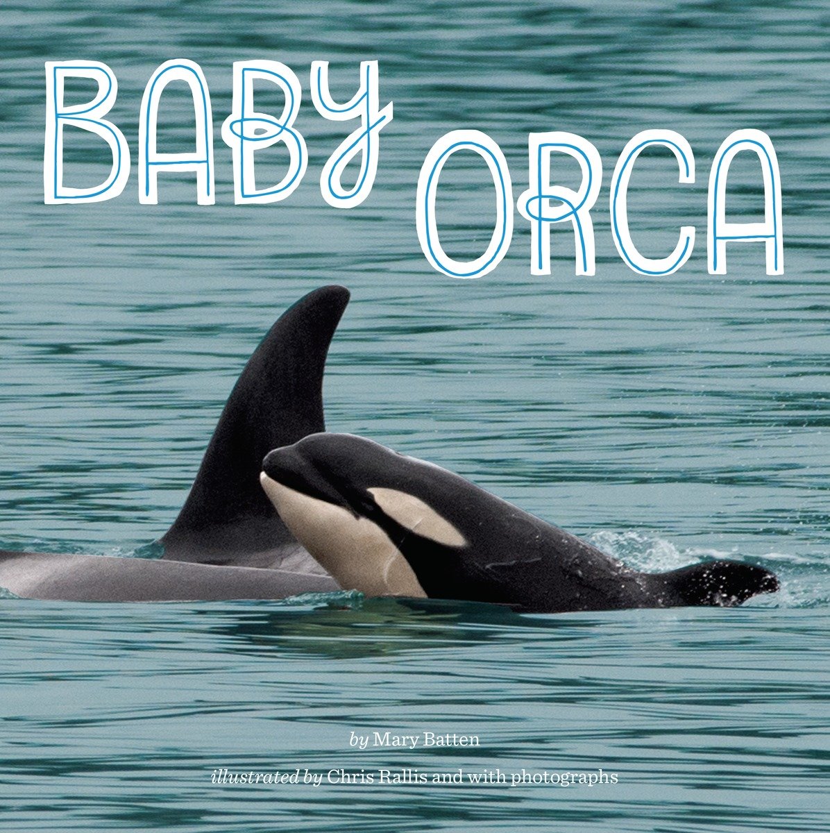 9780448488394 Baby Orca