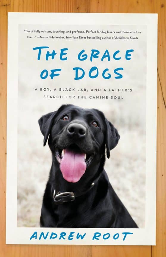 A Boy, a Black Lab, and a Father's Search for the Canine Soul: The Grace of Dogs
