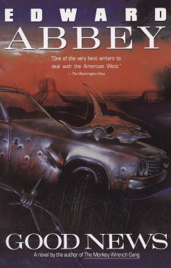 Good News: A Novel