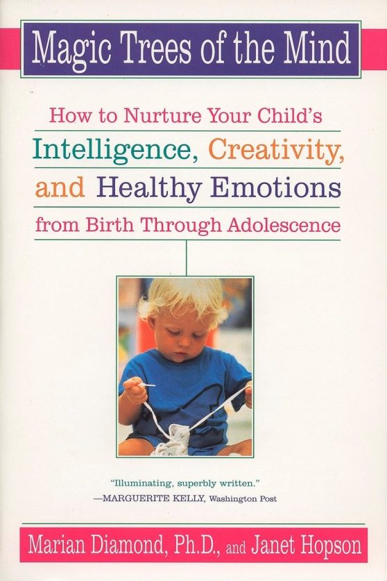 How to Nurture Your Child's Intelligence, Creativity, and Healthy Emotions from Birth Through Adolescence: Magic Trees of the Mind