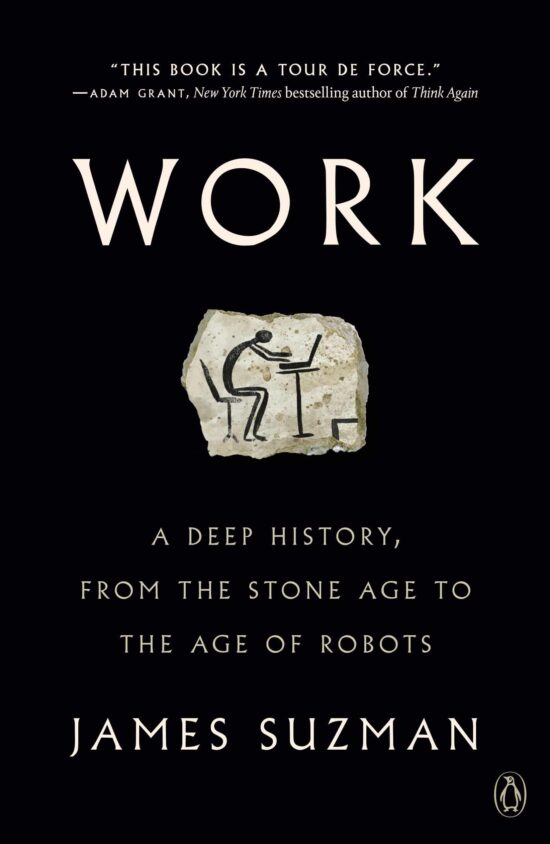 A Deep History, from the Stone Age to the Age of Robots: Work