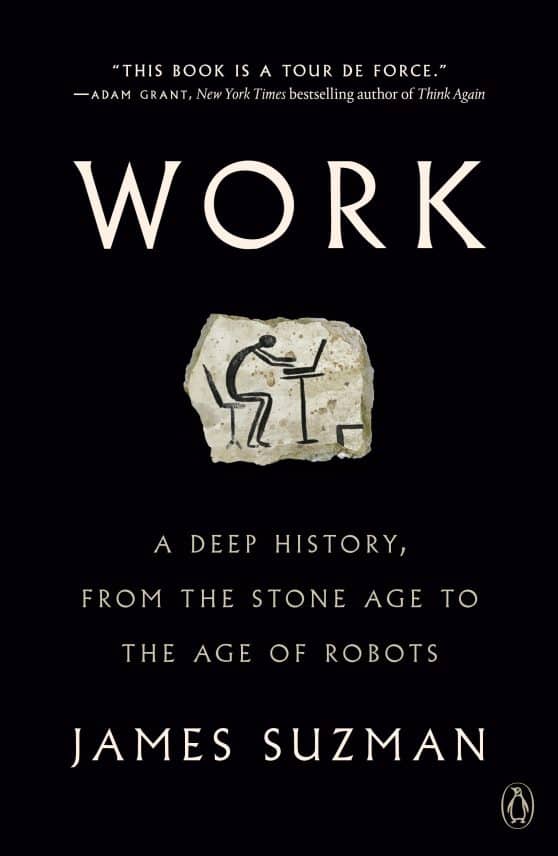A Deep History, from the Stone Age to the Age of Robots: Work