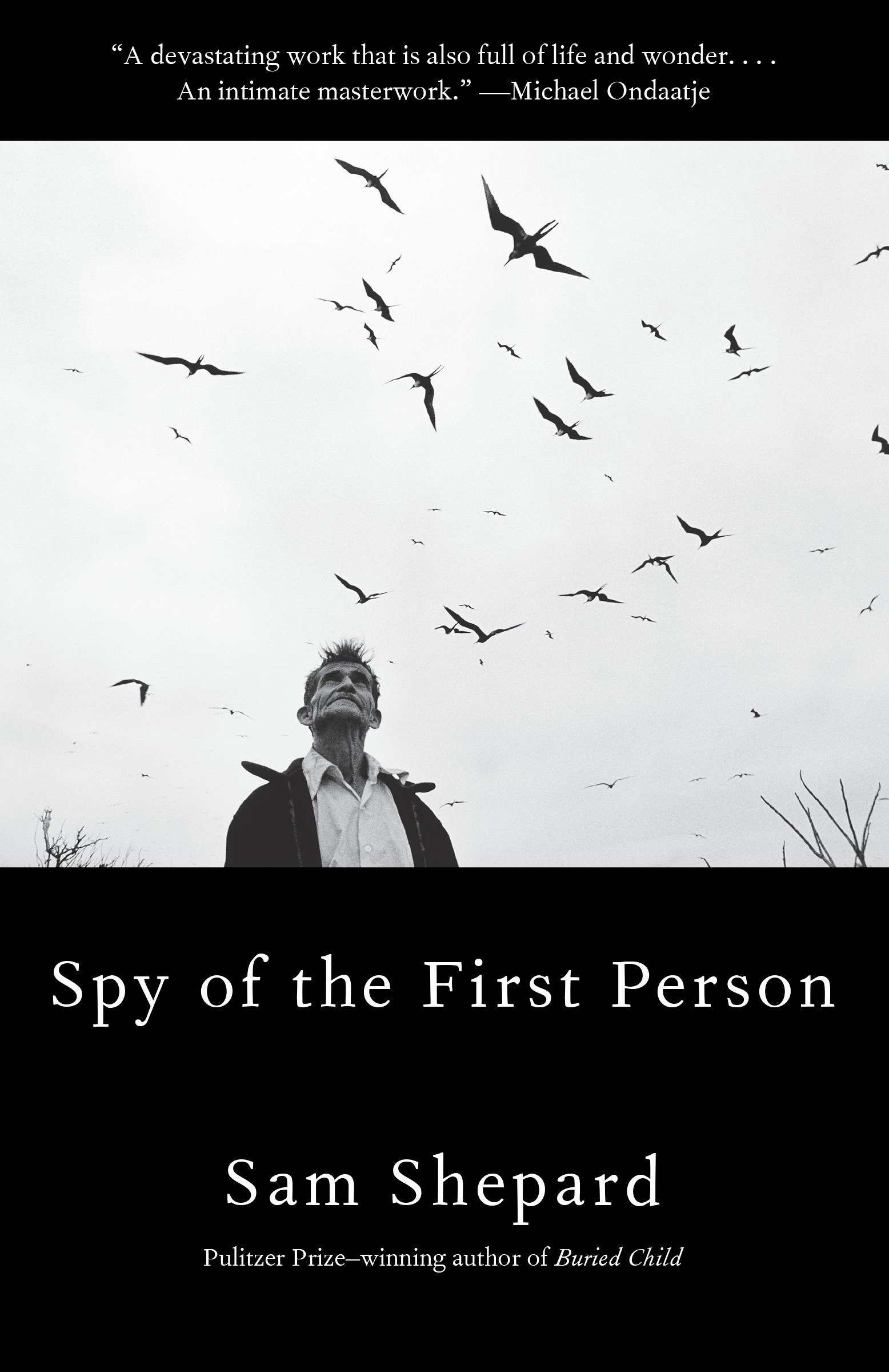 9780525563365 Spy of the First Person