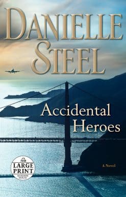 A Novel: Accidental Heroes