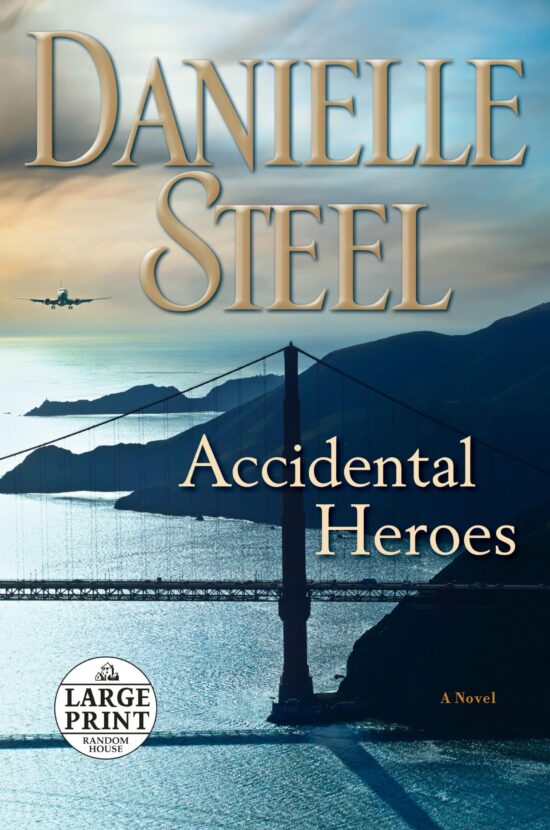 A Novel: Accidental Heroes