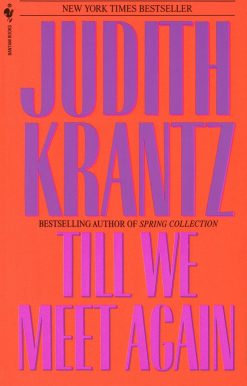 A Novel: Till We Meet Again