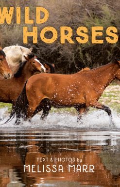 Wild Horses