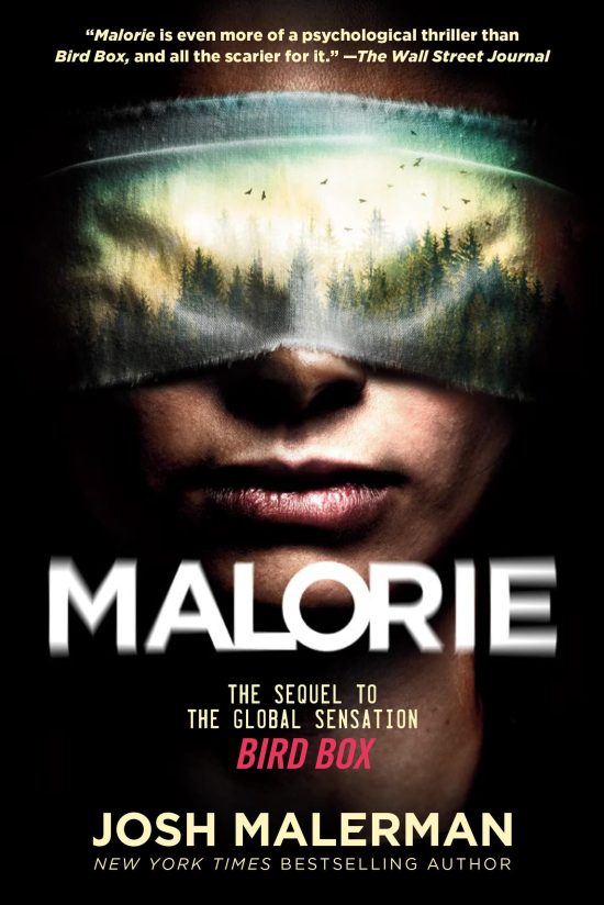 The Sequel to the Global Sensation Bird Box: Malorie