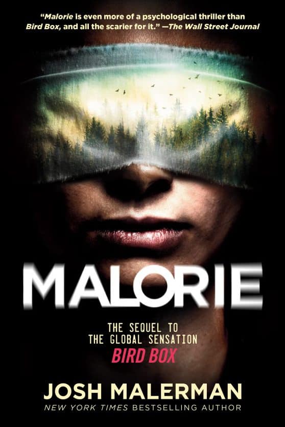 The Sequel to the Global Sensation Bird Box: Malorie