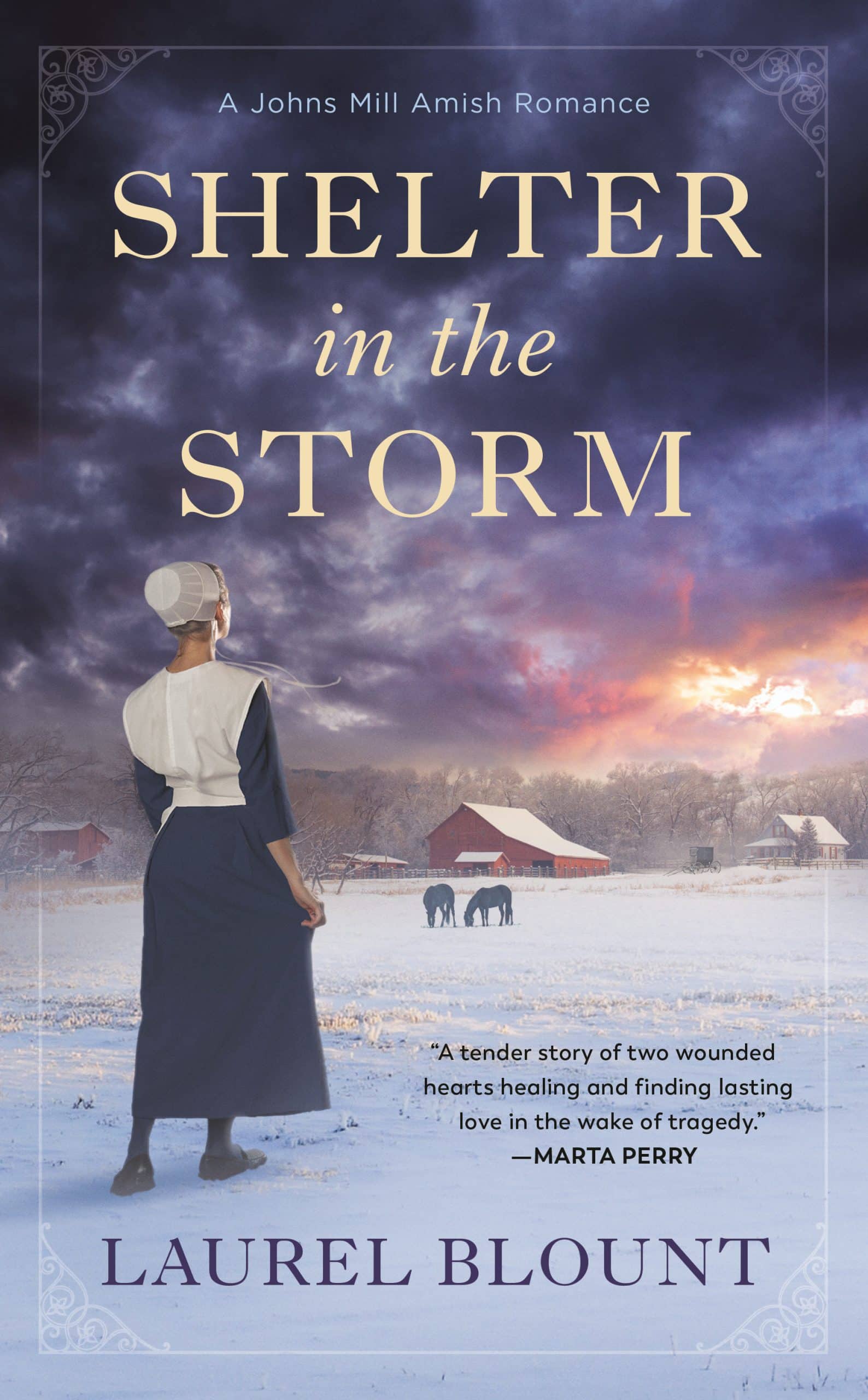 9780593200209 Shelter in the Storm