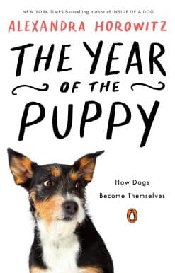 How Dogs Become Themselves: The Year of the Puppy