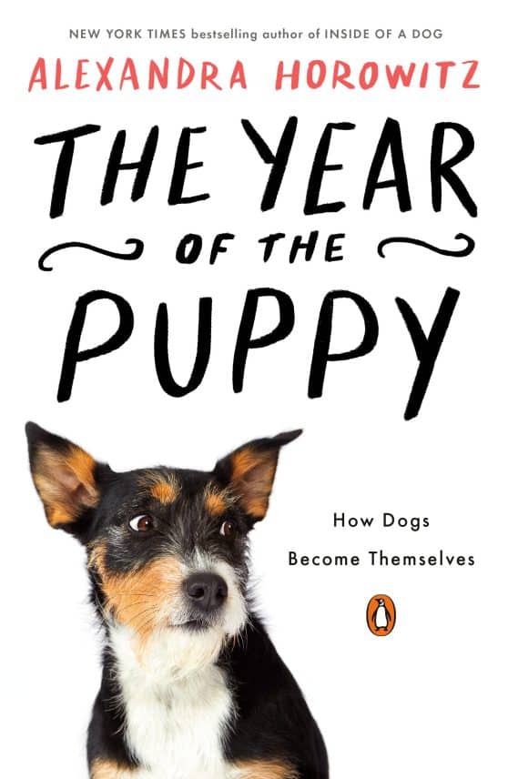 How Dogs Become Themselves: The Year of the Puppy
