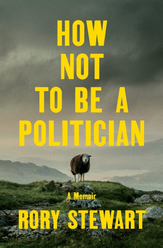 A Memoir: How Not to Be a Politician