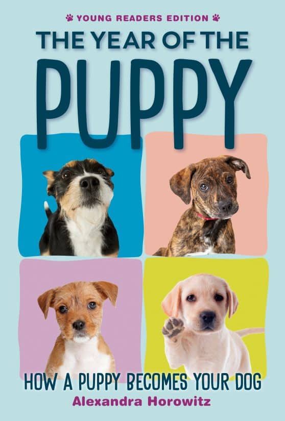 How a Puppy Becomes Your Dog: The Year of the Puppy
