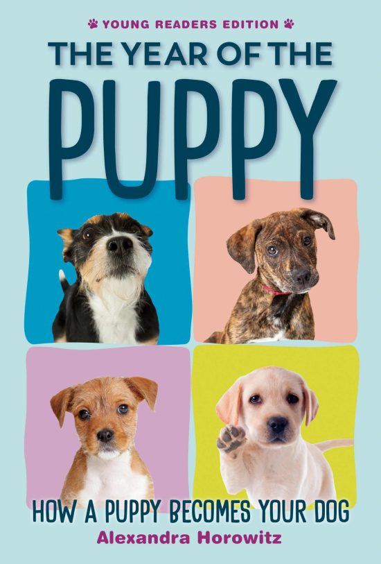 How a Puppy Becomes Your Dog: The Year of the Puppy