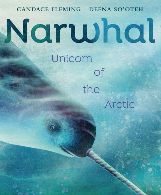 Unicorn of the Arctic: Narwhal