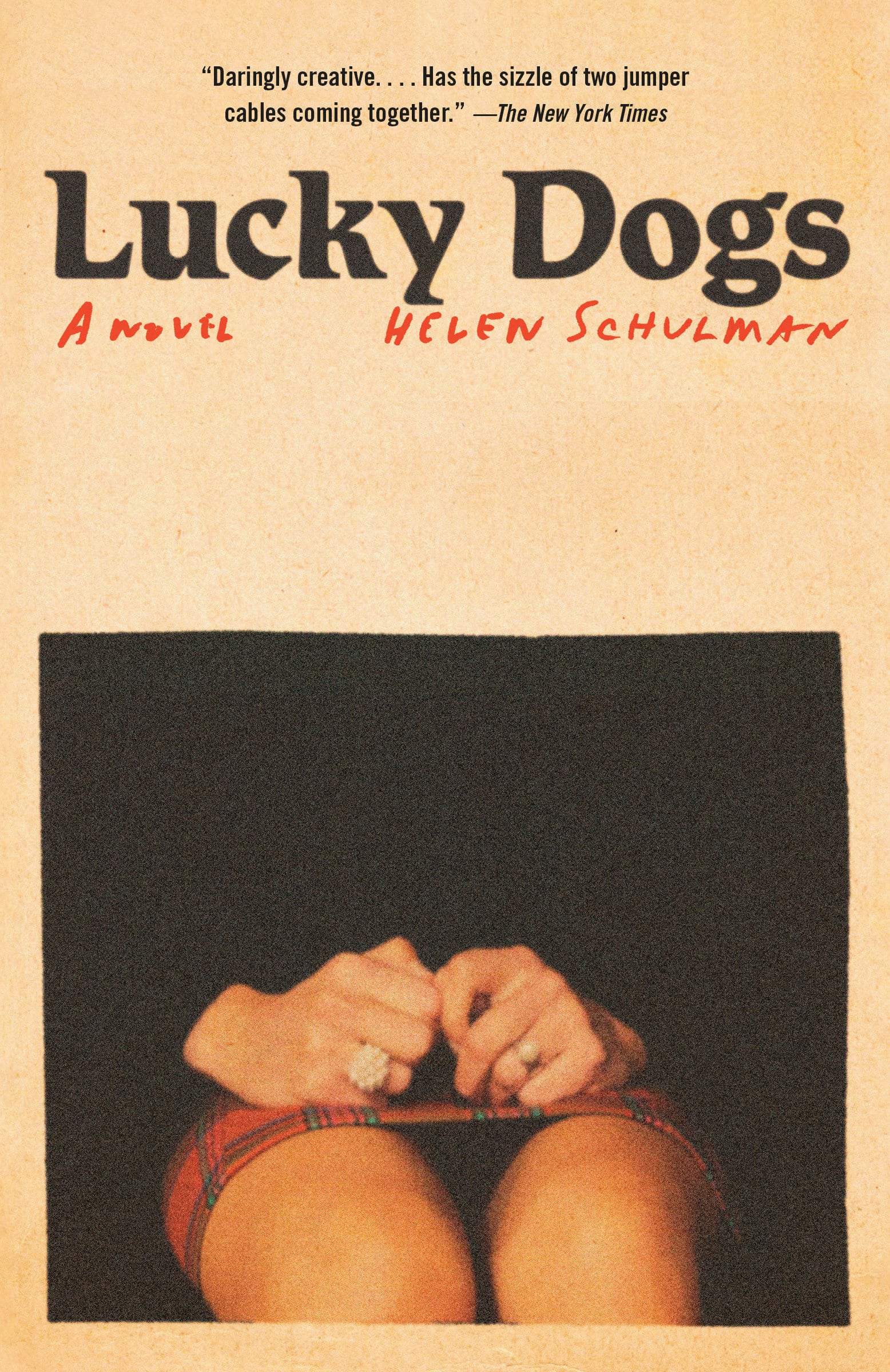 9780593469866 Lucky Dogs: A novel