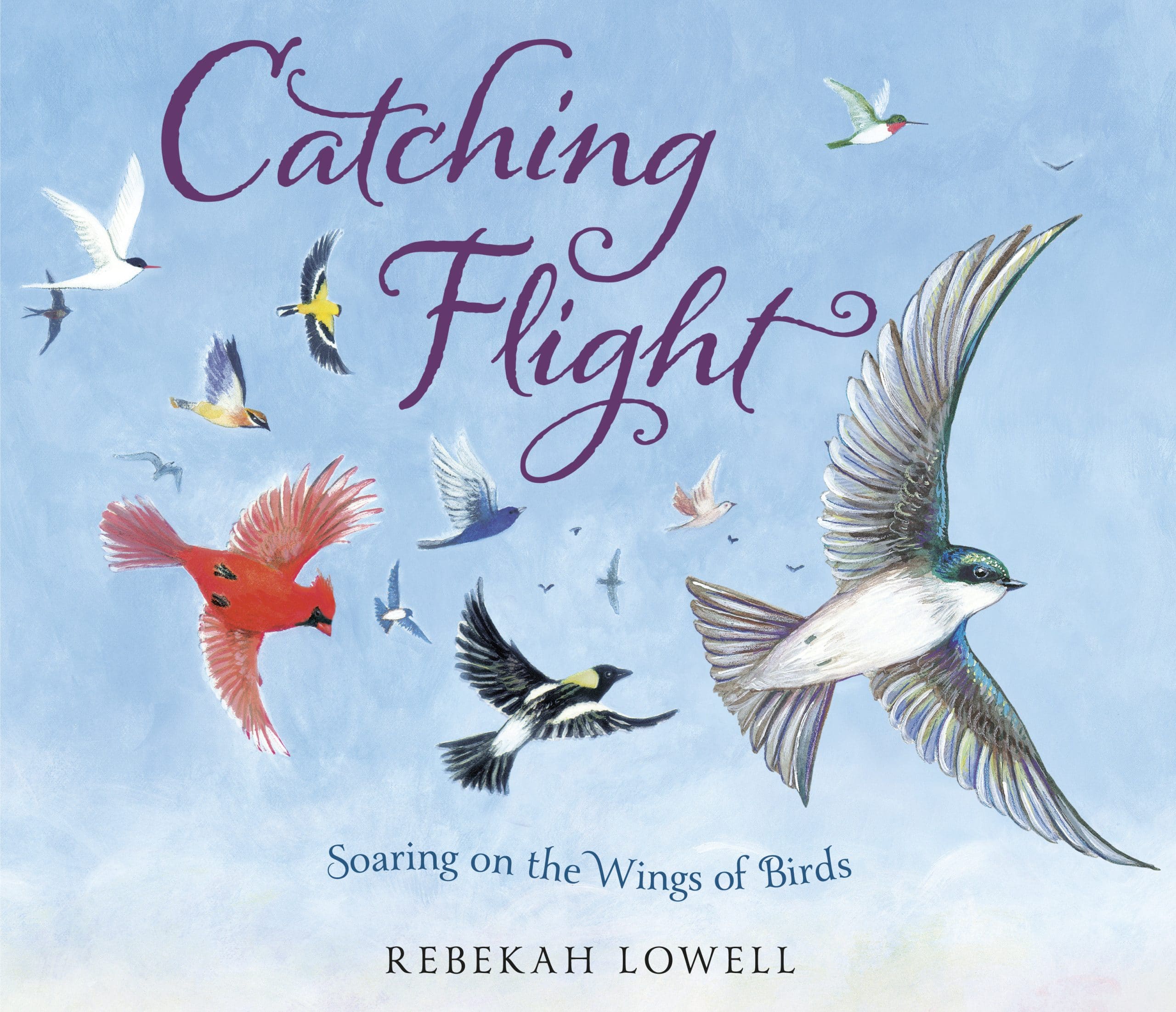 9780593487099 Catching Flight: Soaring on the Wings of Birds