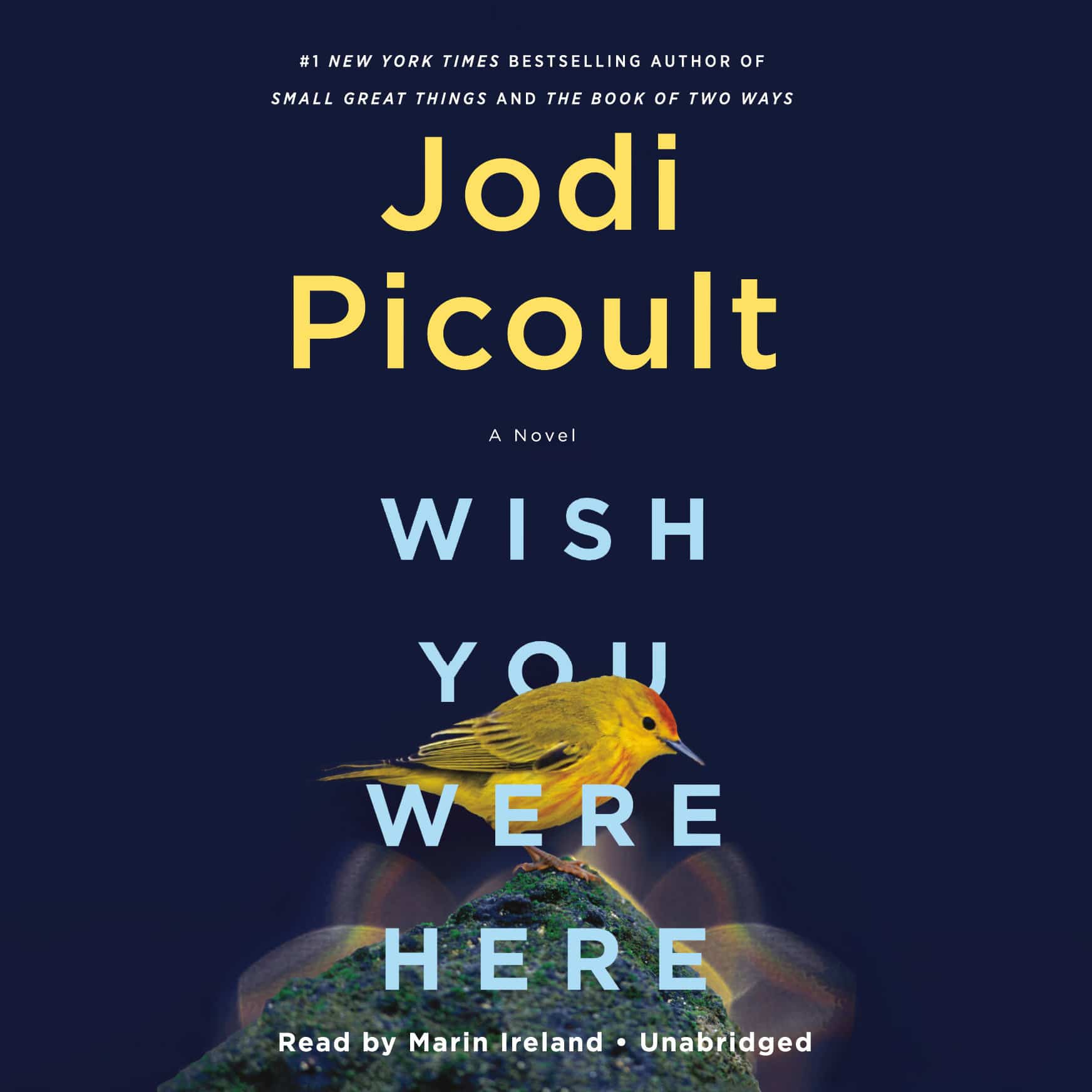 9780593508633 Wish You Were Here: A Novel