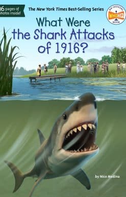 What Were the Shark Attacks of 1916?