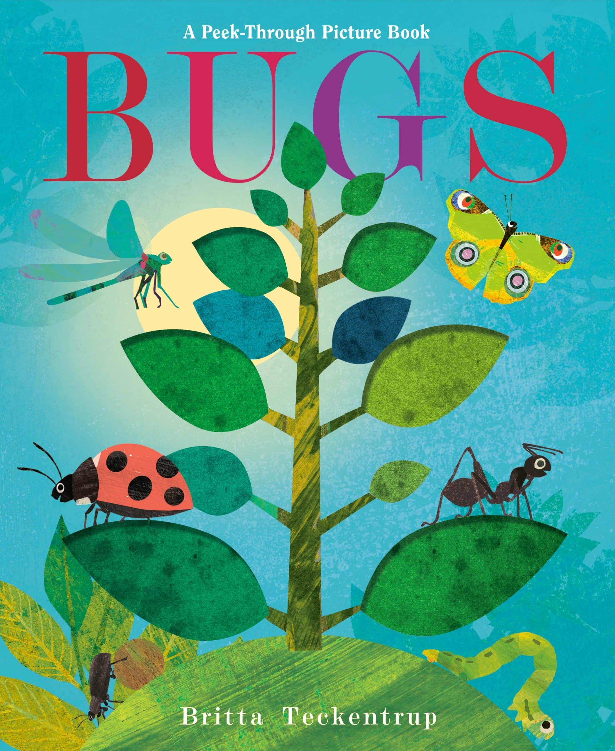 9780593564585 Bugs: A Peek-Through Picture Book