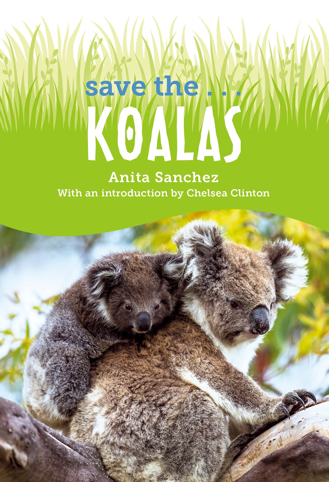 9780593622636 Save the... Koalas