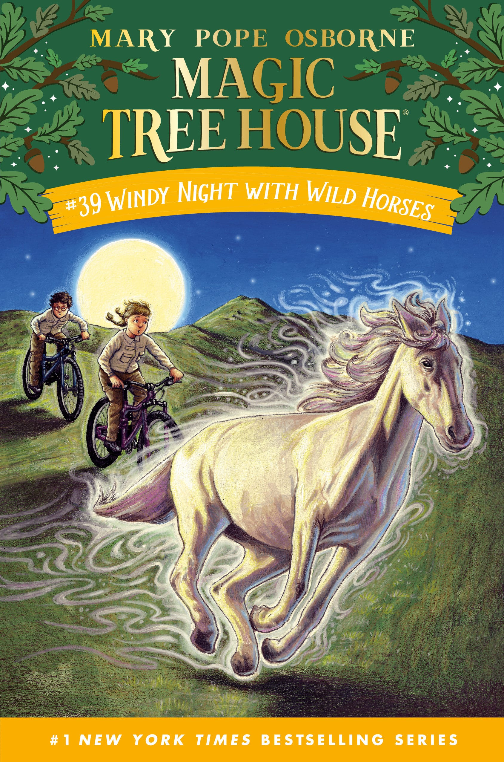 9780593706480 Windy Night with Wild Horses