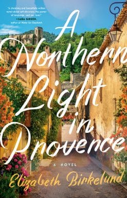 A Novel: A Northern Light in Provence