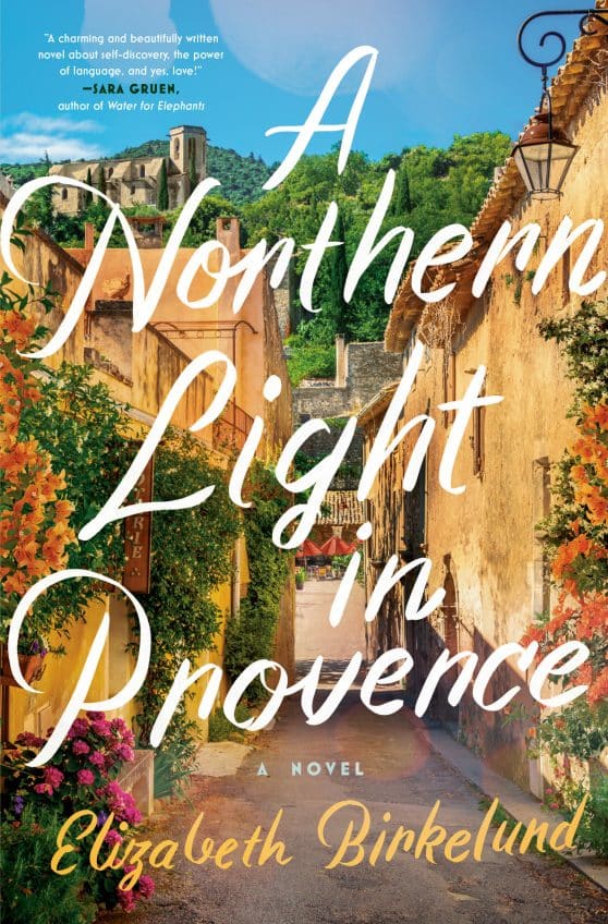 A Novel: A Northern Light in Provence