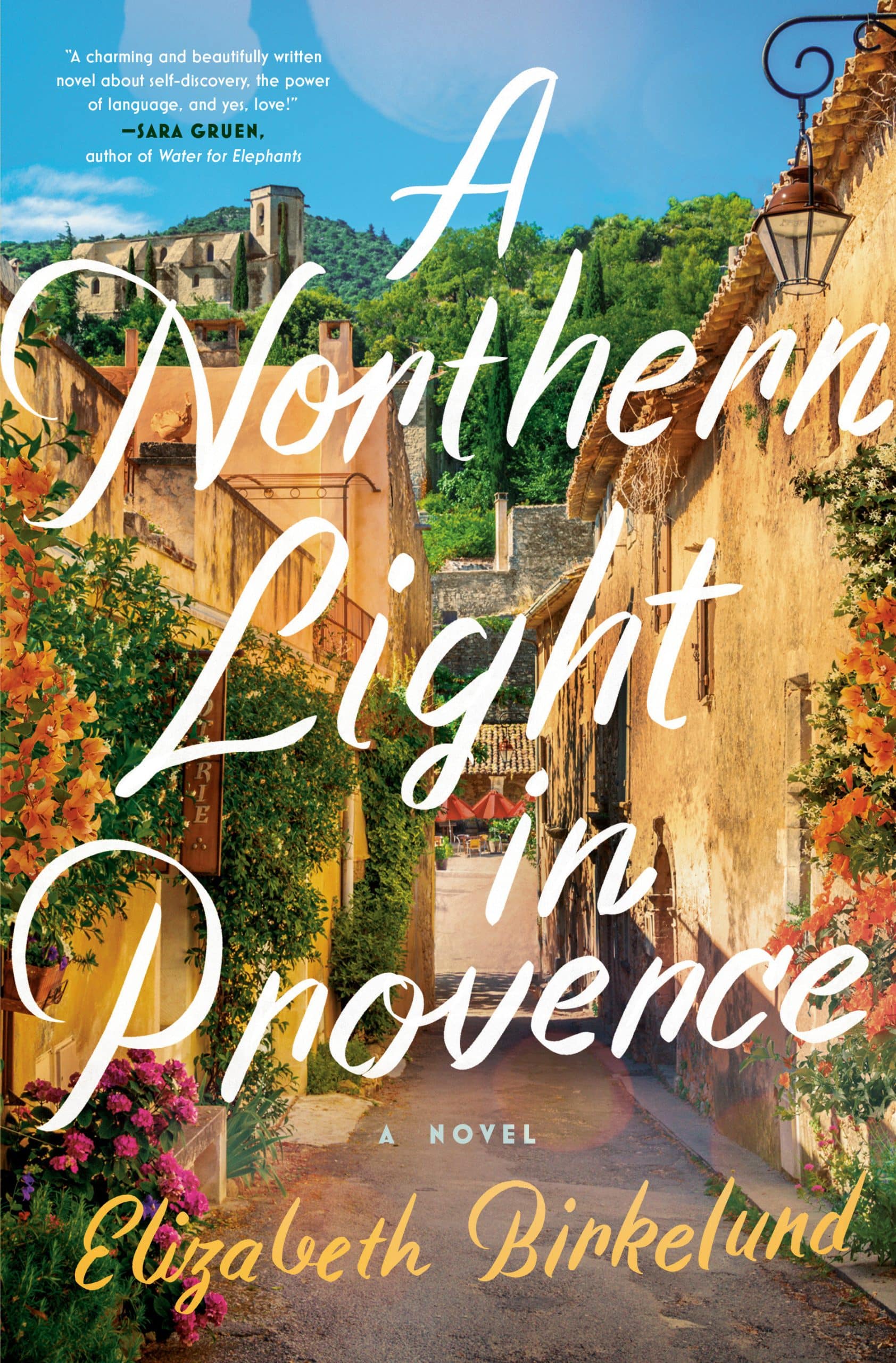 A Novel: A Northern Light in Provence