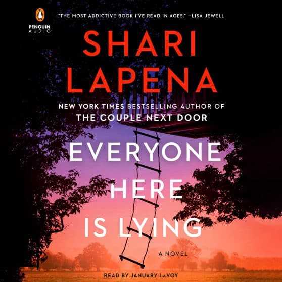A Novel: Everyone Here Is Lying