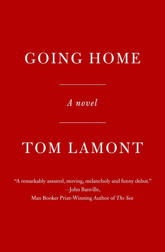 A Novel of Boys, Mistakes, and Second Chances: Going Home