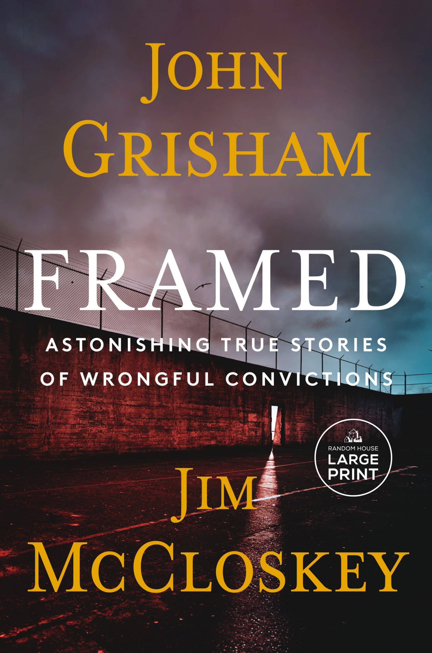 Astonishing True Stories of Wrongful Convictions: Framed