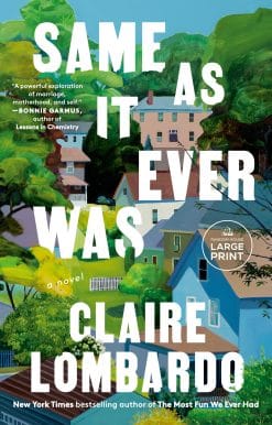 Same As It Ever Was: A Novel