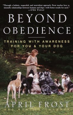 Beyond Obedience: Training with Awareness for You & Your Dog