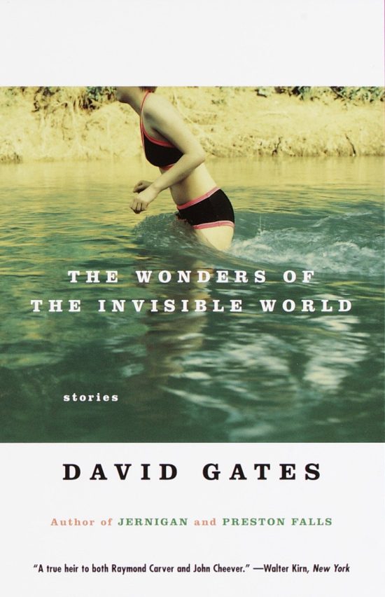 The Wonders of the Invisible World