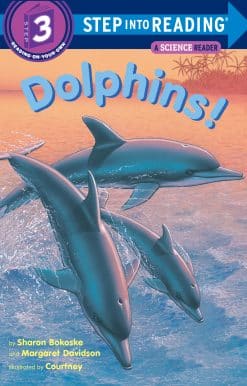 Dolphins!
