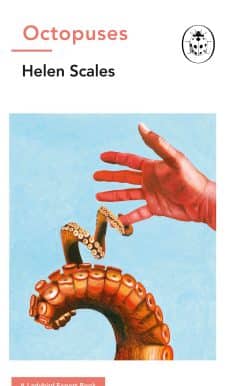 Octopuses: A Ladybird Expert Book: