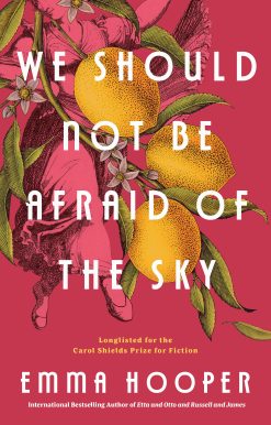 We Should Not Be Afraid of the Sky