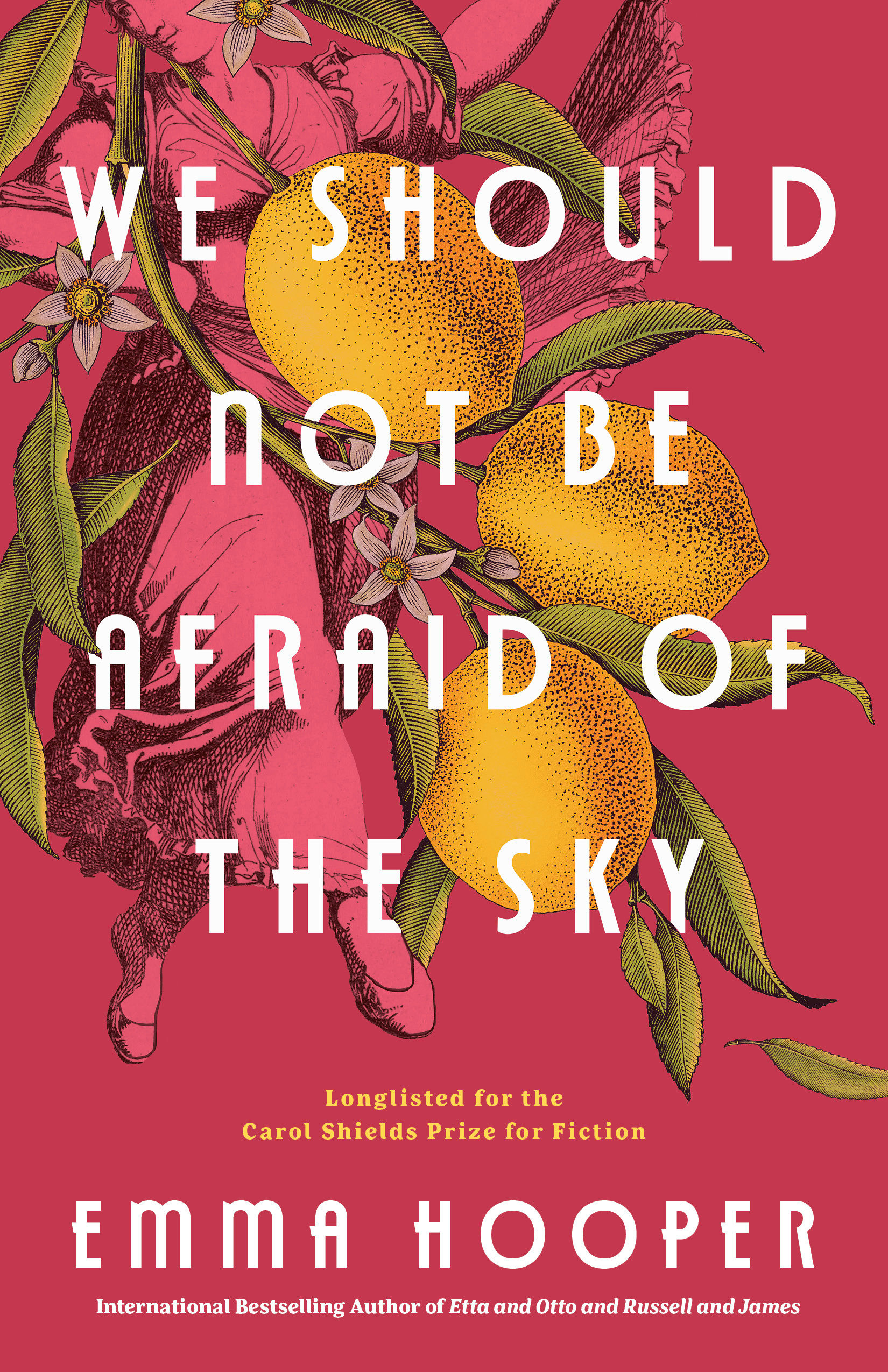 9780735232761 We Should Not Be Afraid of the Sky