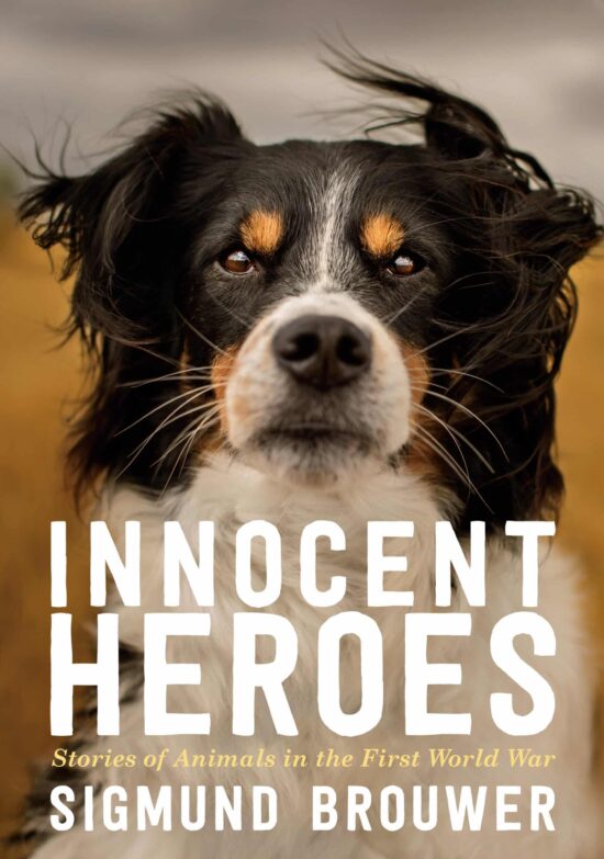 Innocent Heroes: Stories of animals in the First World War