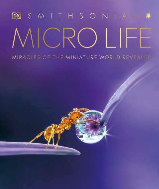 Miracles of the Miniature World Revealed: Micro Life